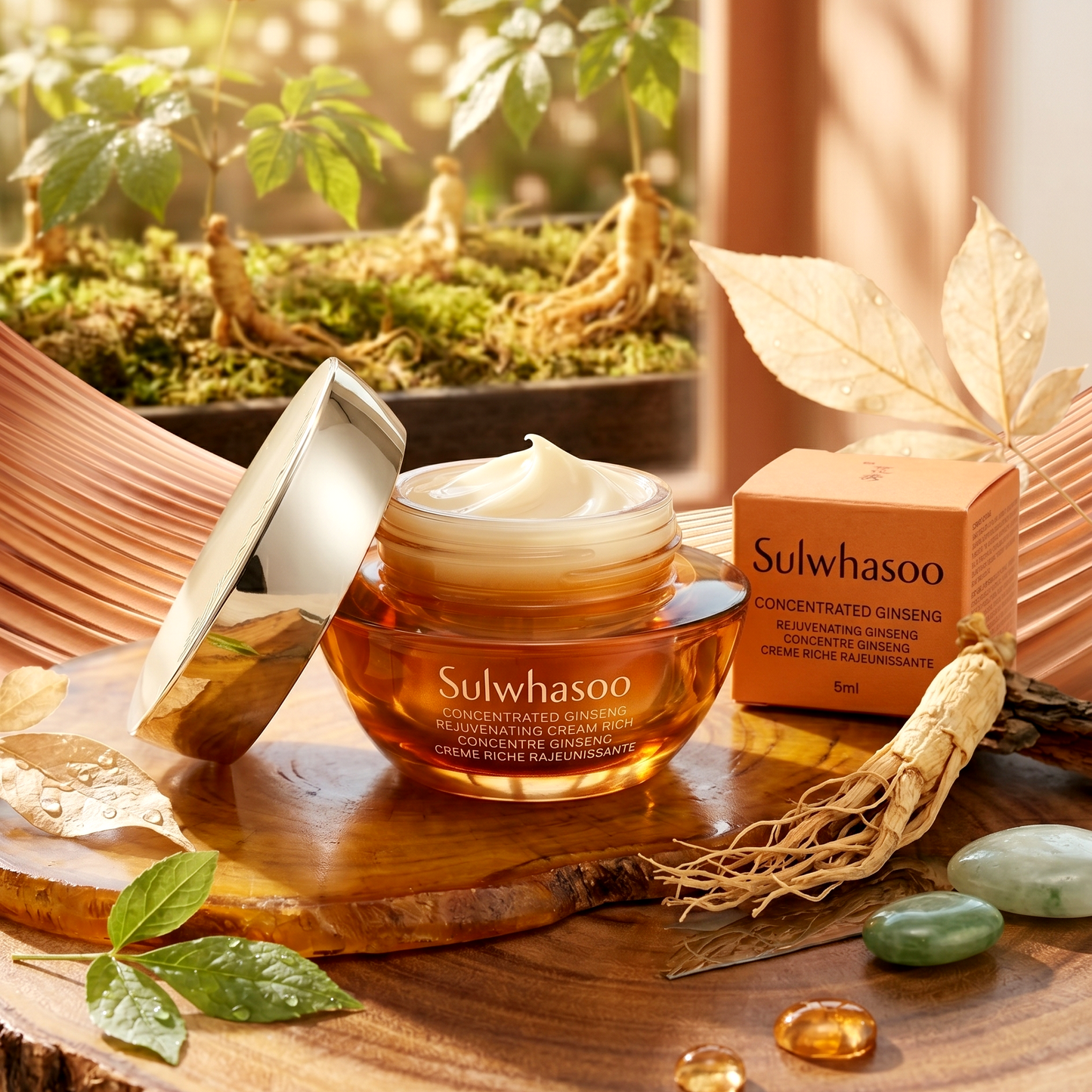 Sulwhasoo Concentrated Ginseng Rejuvenating Cream Rich 5ml | AmiGlow NZ