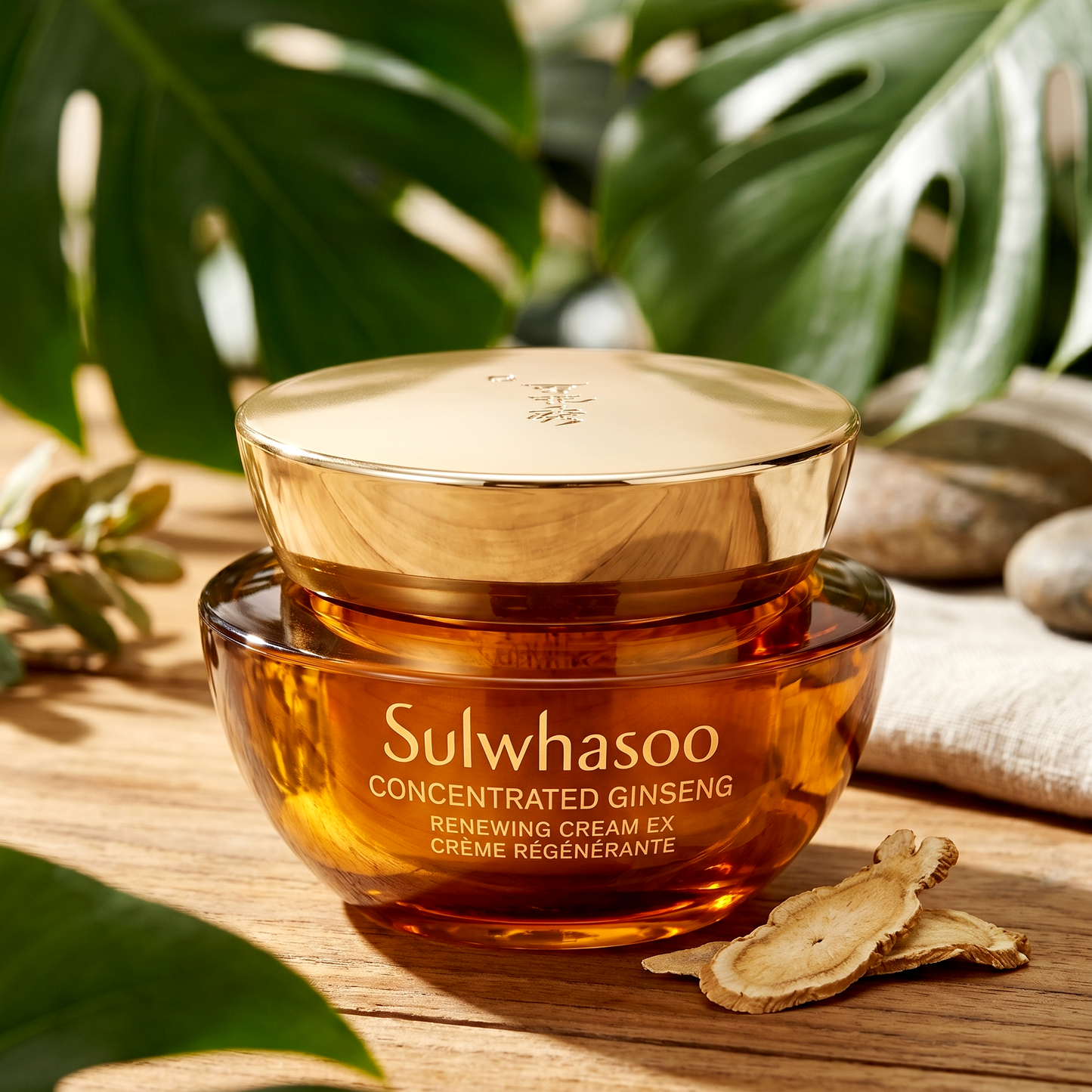 Sulwhasoo Concentrated Ginseng Renewing Cream EX 5ml | Luxury Anti-Aging | AmiGlow NZ