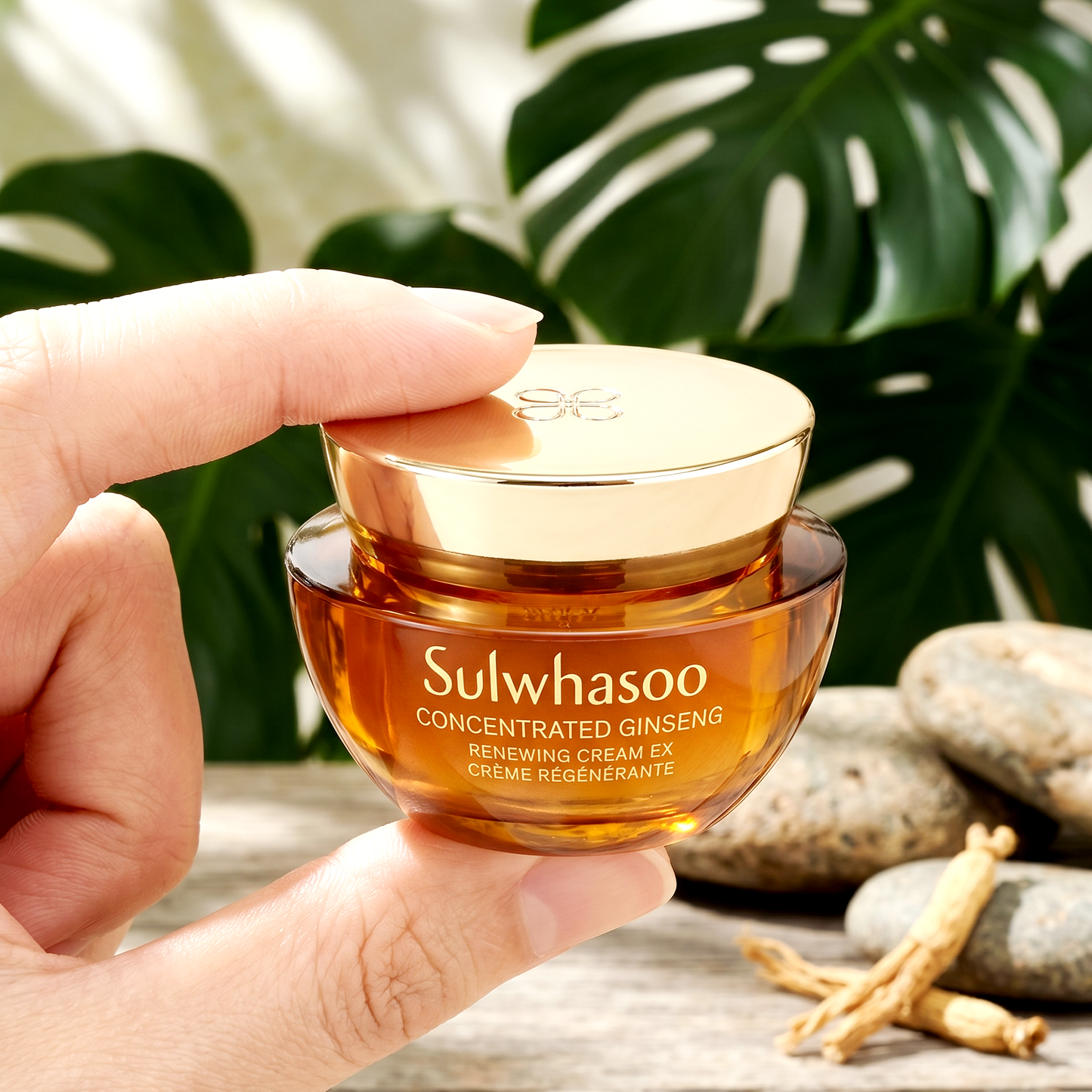 Sulwhasoo Concentrated Ginseng Renewing Cream EX 5ml | Luxury Anti-Aging | AmiGlow NZ
