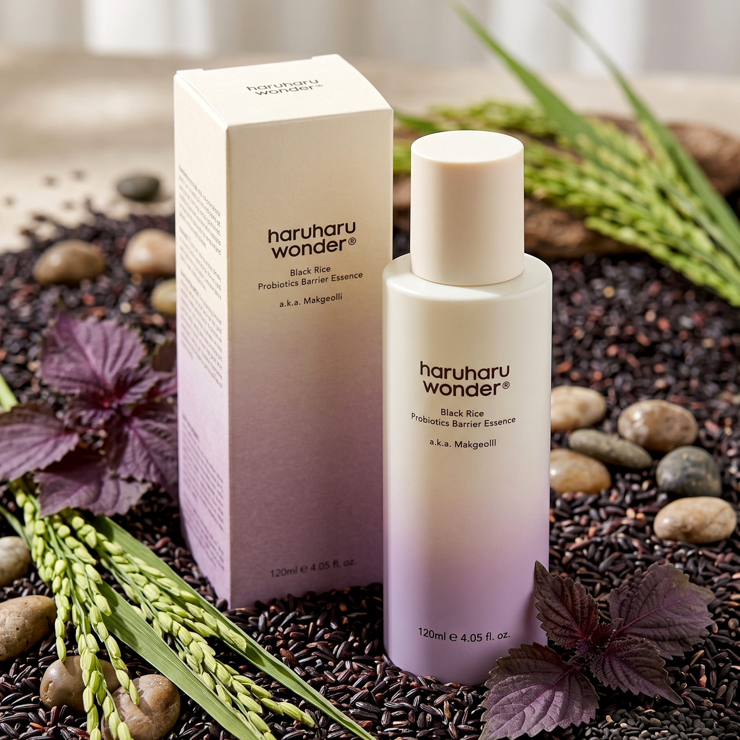 Haruharu Wonder Black Rice Probiotics Barrier Essence 120ml | AmiGlow NZ
