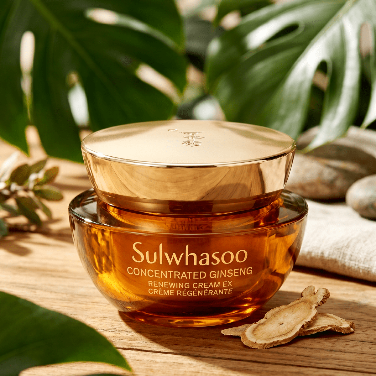 Sulwhasoo Concentrated Ginseng Renewing Cream EX 5ml | Luxury Anti-Aging | AmiGlow NZ - AmiGlow