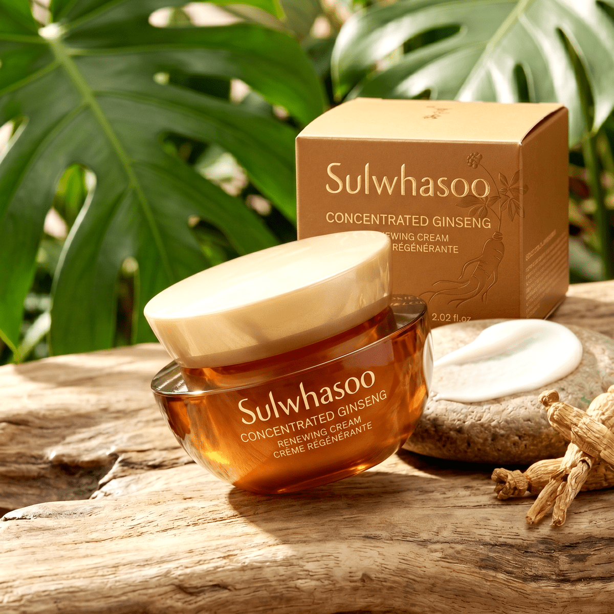 Sulwhasoo Concentrated Ginseng Renewing Cream EX 5ml | Luxury Anti-Aging | AmiGlow NZ - AmiGlow